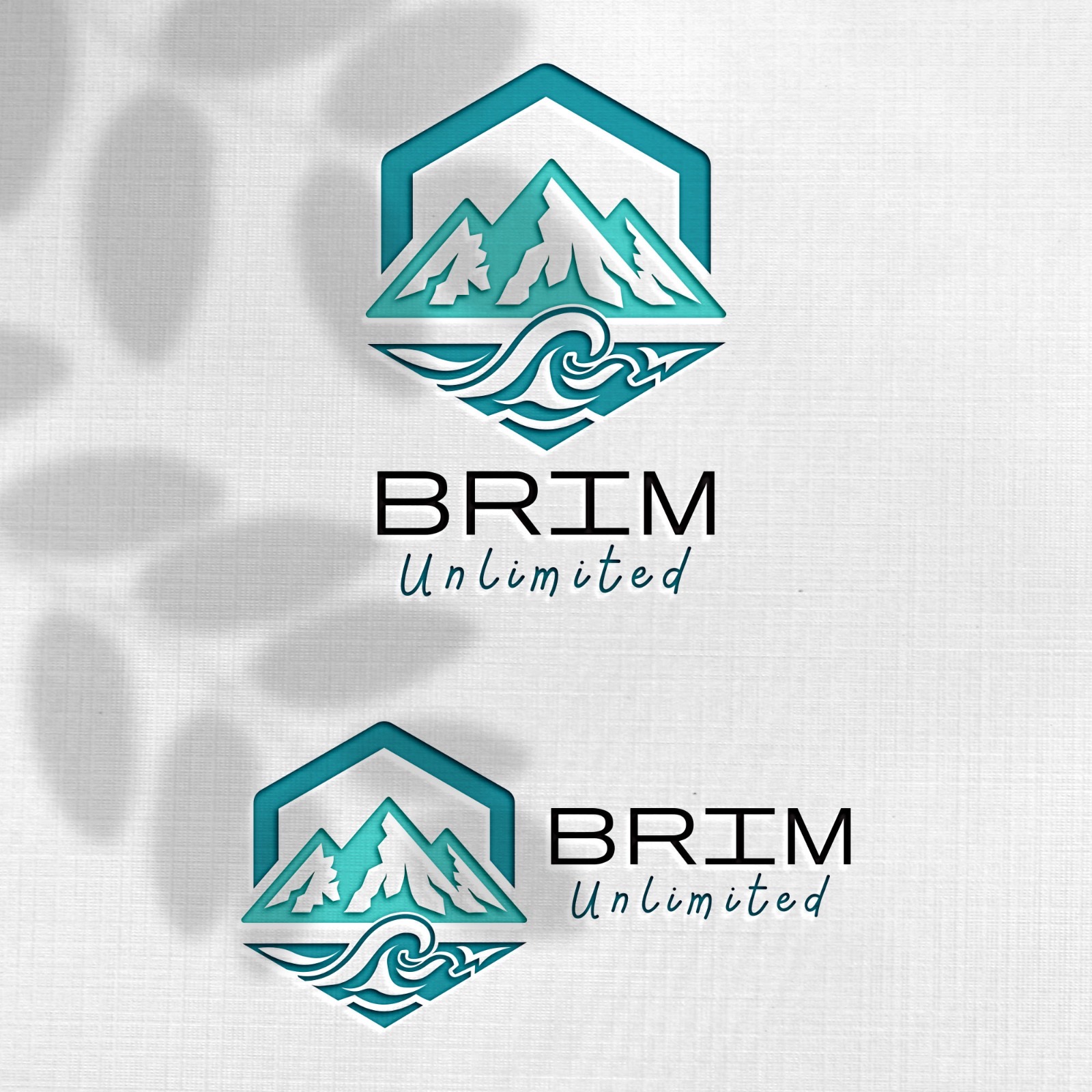 Design de Logo par Design_Duo pour Brim Unlimited | Design #33846203