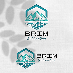 Design de Logo par Design_Duo pour Brim Unlimited | Design : #33846203