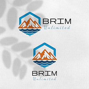 Design de Logo par Design_Duo pour Brim Unlimited | Design : #33846204