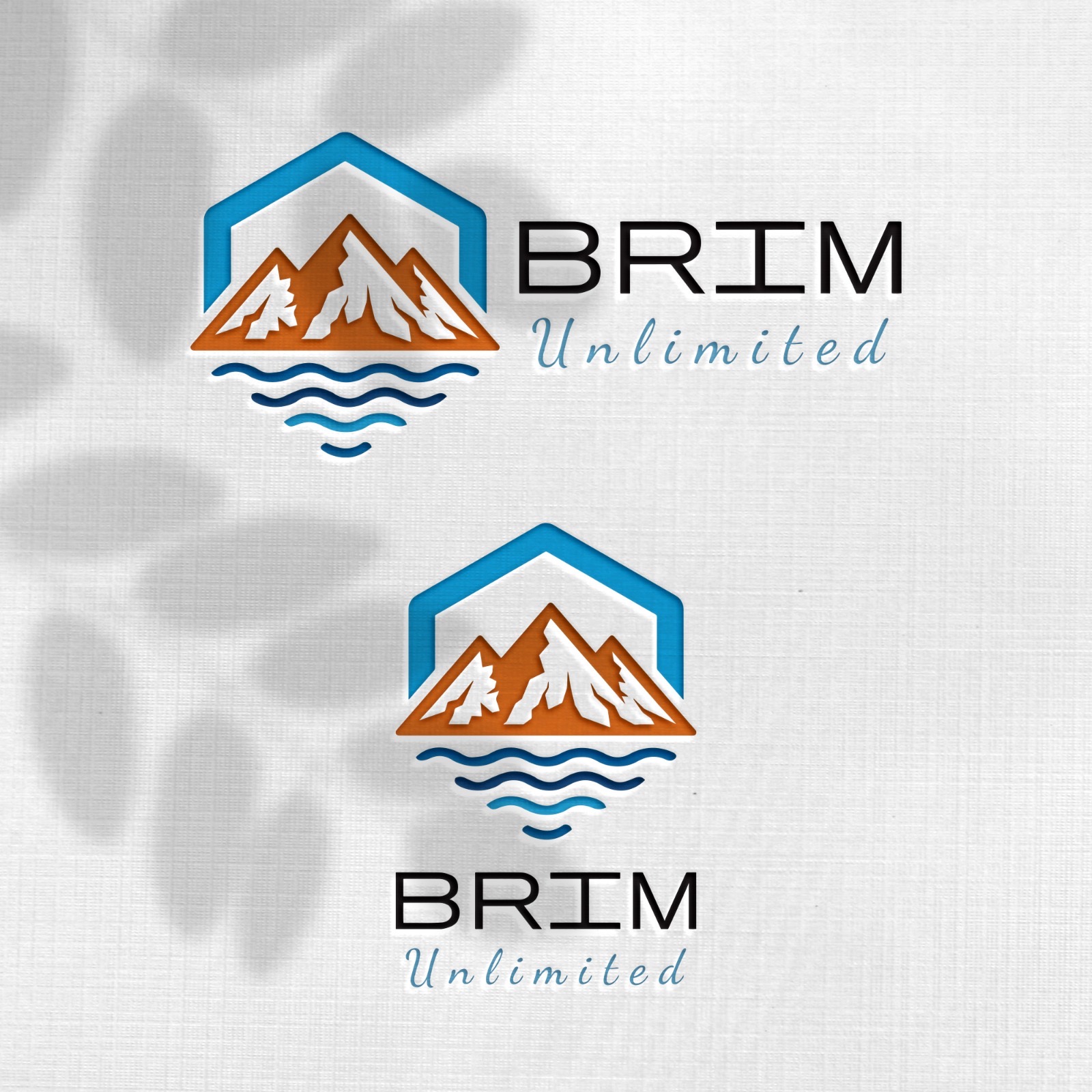 Design de Logo par Design_Duo pour Brim Unlimited | Design #33846205