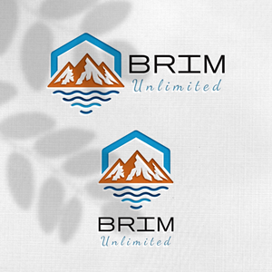 Design de Logo par Design_Duo pour Brim Unlimited | Design : #33846205