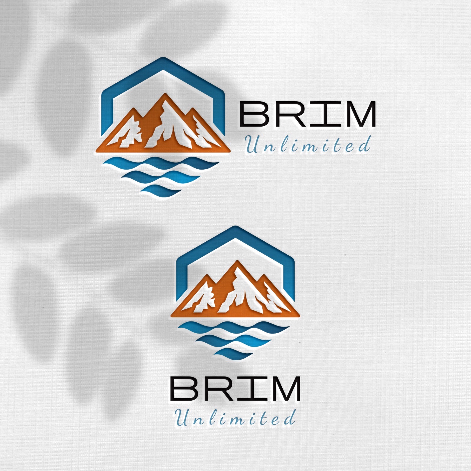Design de Logo par Design_Duo pour Brim Unlimited | Design #33846270