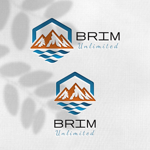 Design de Logo par Design_Duo pour Brim Unlimited | Design : #33846270