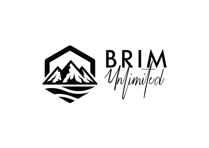 Design de Logo par LogoBids pour Brim Unlimited | Design #33817547
