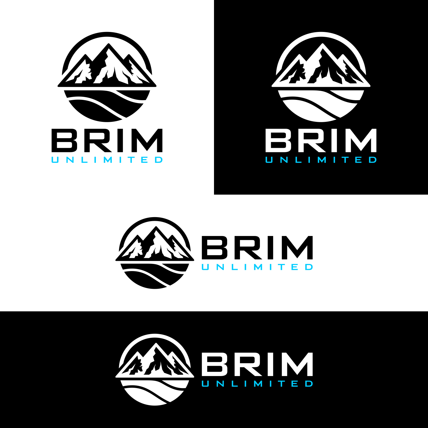 Design de Logo par 16surya pour Brim Unlimited | Design #33809547
