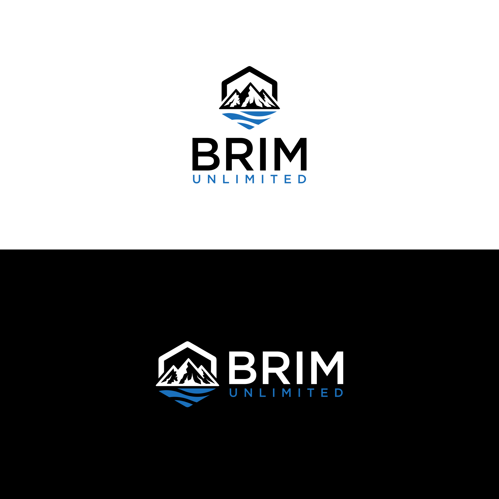 Logo Design by ni9 for Brim Unlimited | Design #33841314