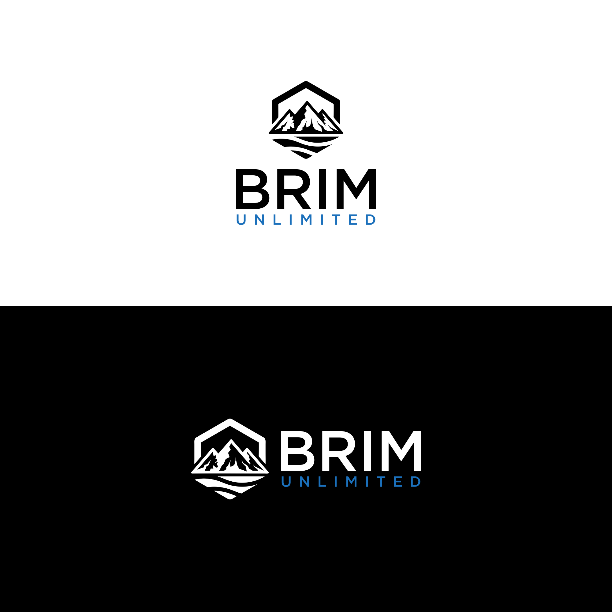 Logo Design by ni9 for Brim Unlimited | Design #33841318