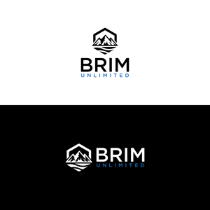 Logo Design by ni9 for Brim Unlimited | Design: #33841318