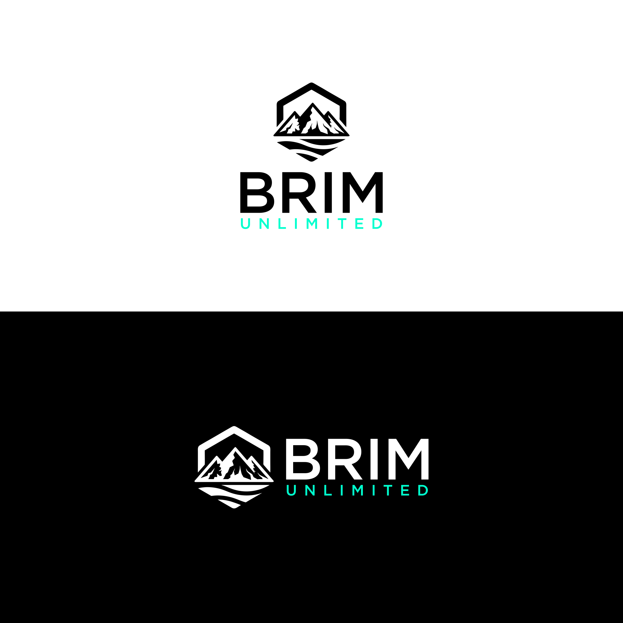 Logo Design by ni9 for Brim Unlimited | Design #33841325
