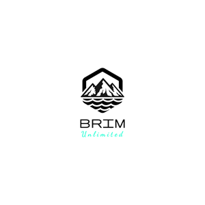 Logo Design by Design nest for Brim Unlimited | Design: #33815992