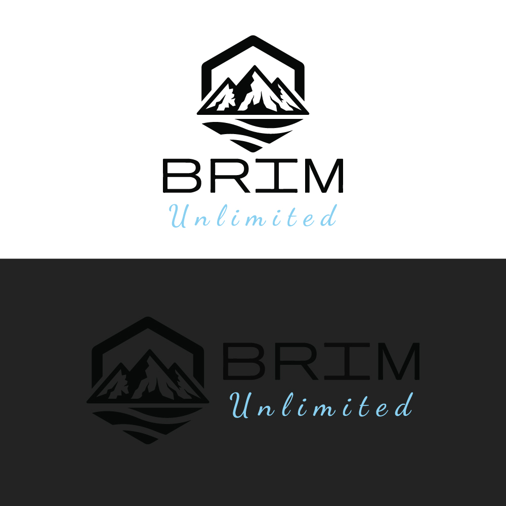Design de Logo par AbdurRahim 2 pour Brim Unlimited | Design #33814046