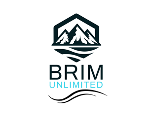 Logo Design by mahfuz1450r for Brim Unlimited | Design: #33845613