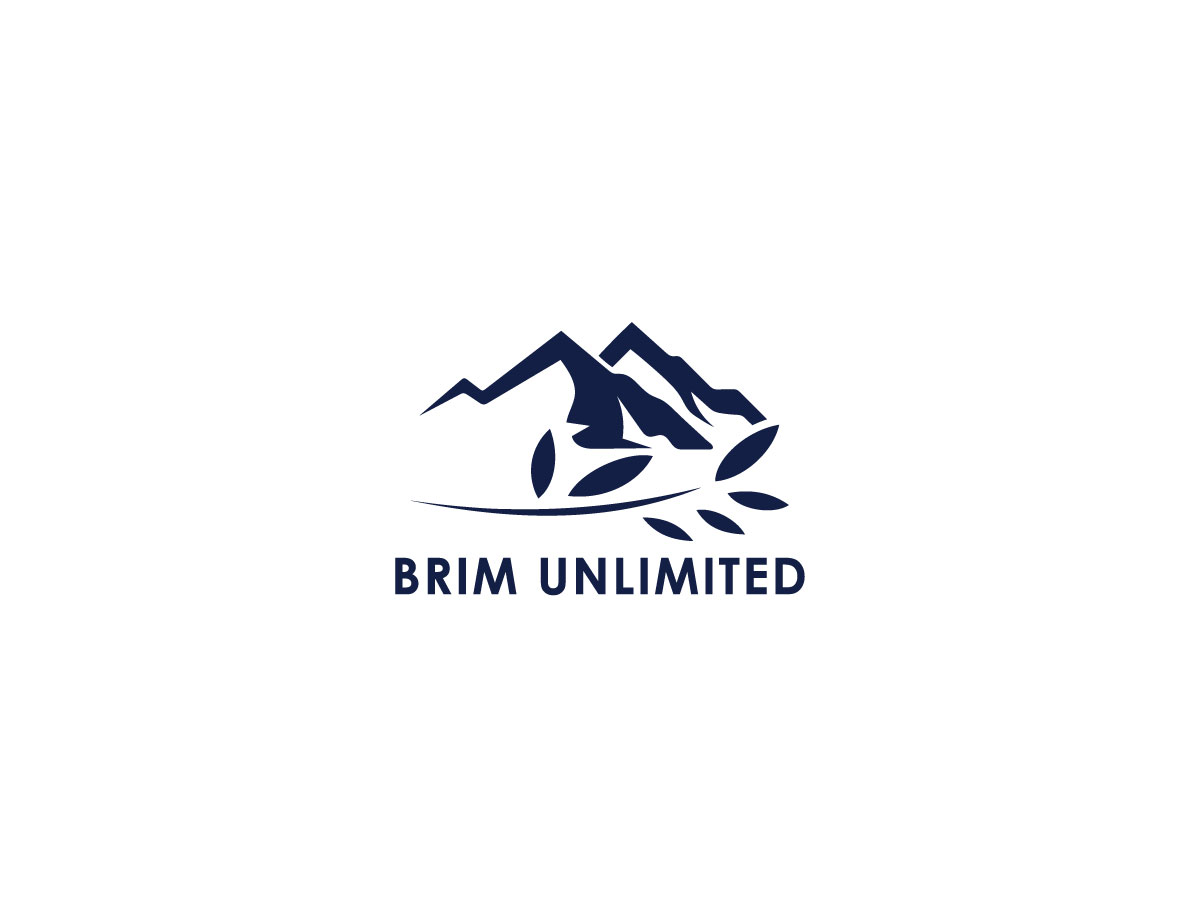 Logo-Design von MAmbani 24 für Brim Unlimited | Design #33812989