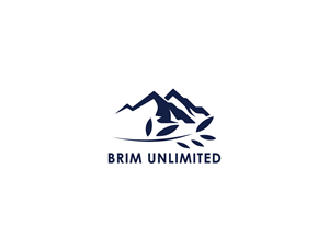 Logo-Design von MAmbani 24 für Brim Unlimited | Design: #33812989