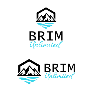 Logo Design by ExclusiveMind for Brim Unlimited | Design: #33821456