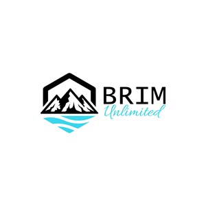 Logo Design by ExclusiveMind for Brim Unlimited | Design: #33821457
