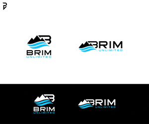 Logo Design by poisonvectors for Brim Unlimited | Design: #33810212