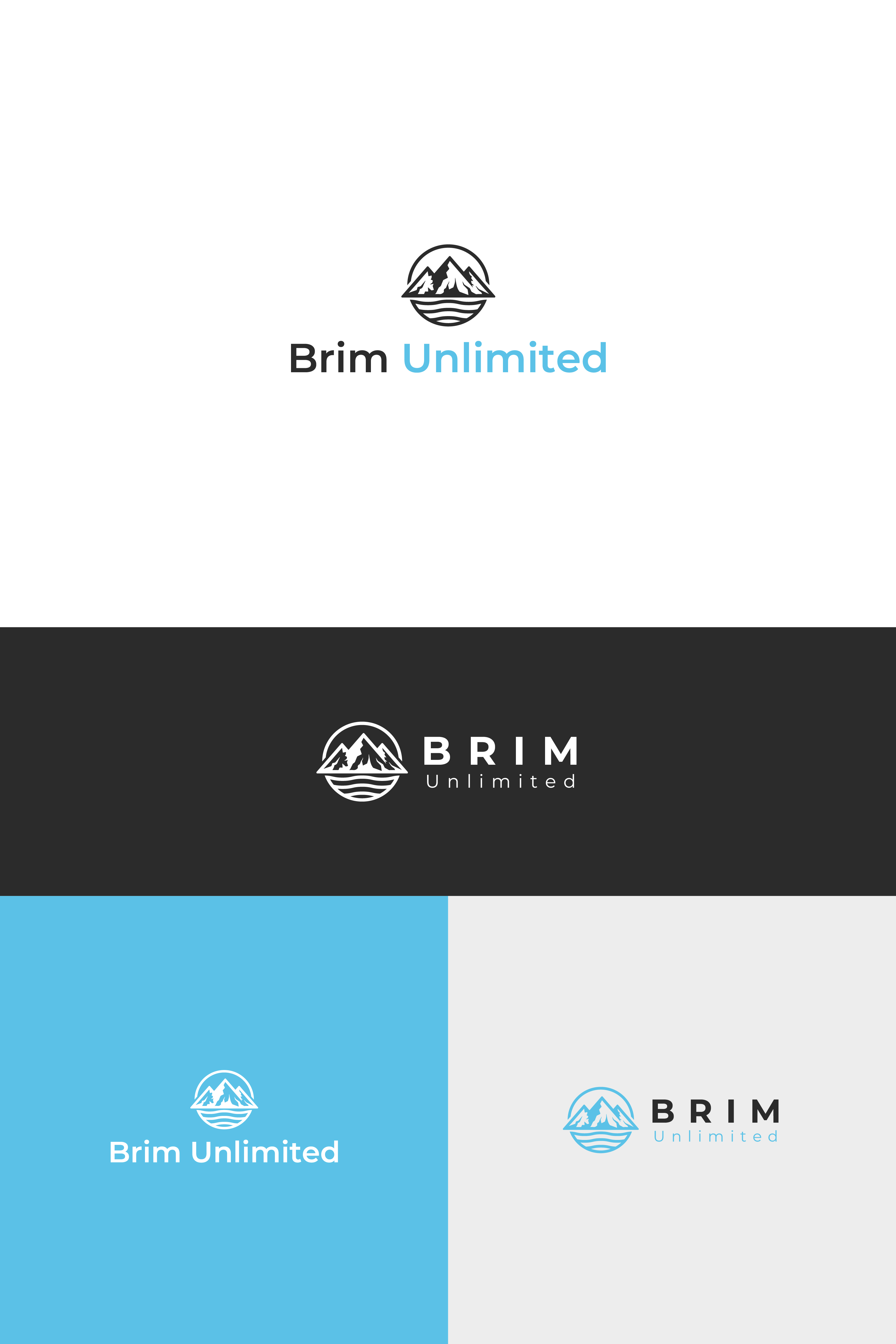 Logo Design by Boril Std for Brim Unlimited | Design #33812423