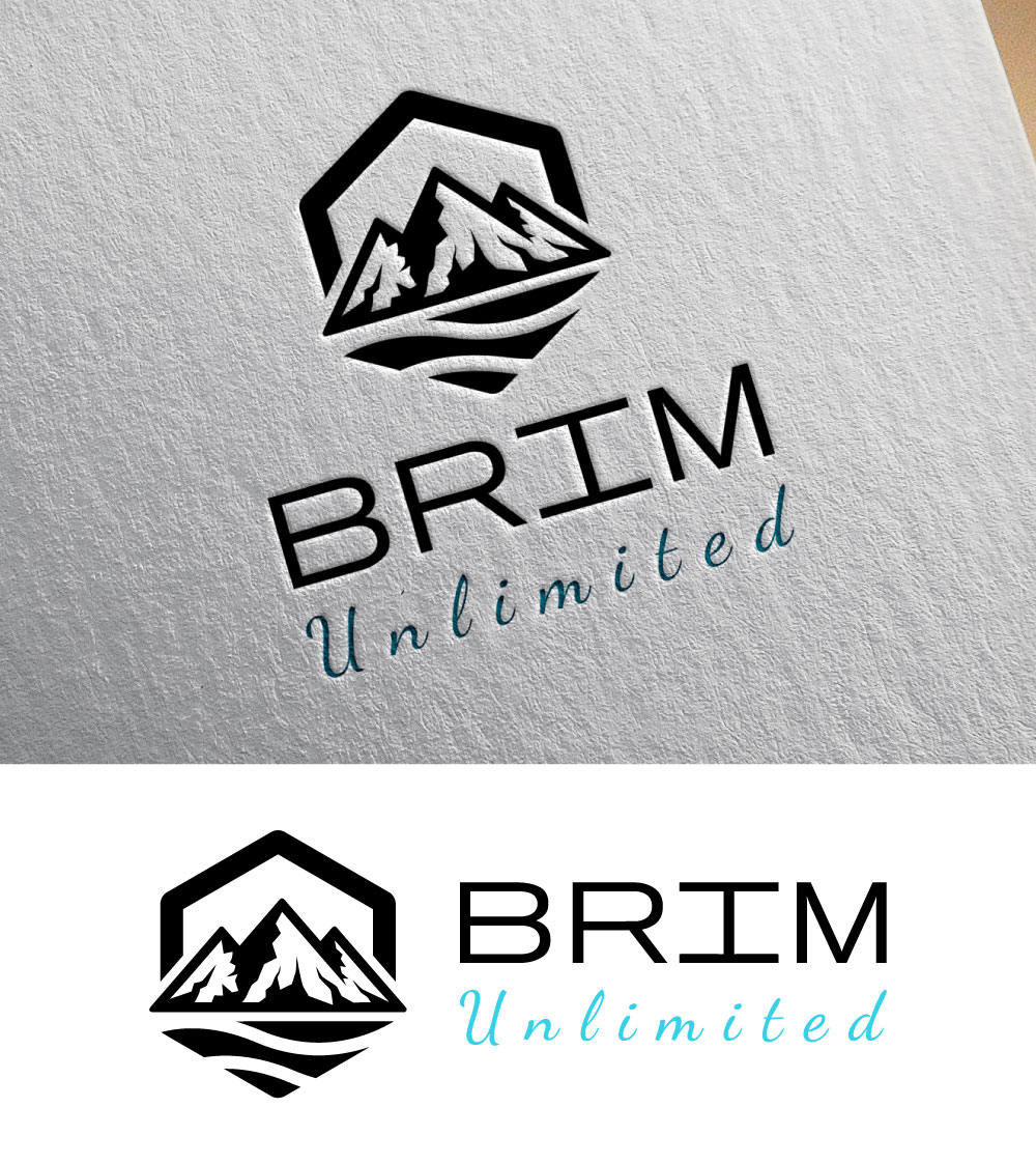 Logo Design by bute for Brim Unlimited | Design #33824131