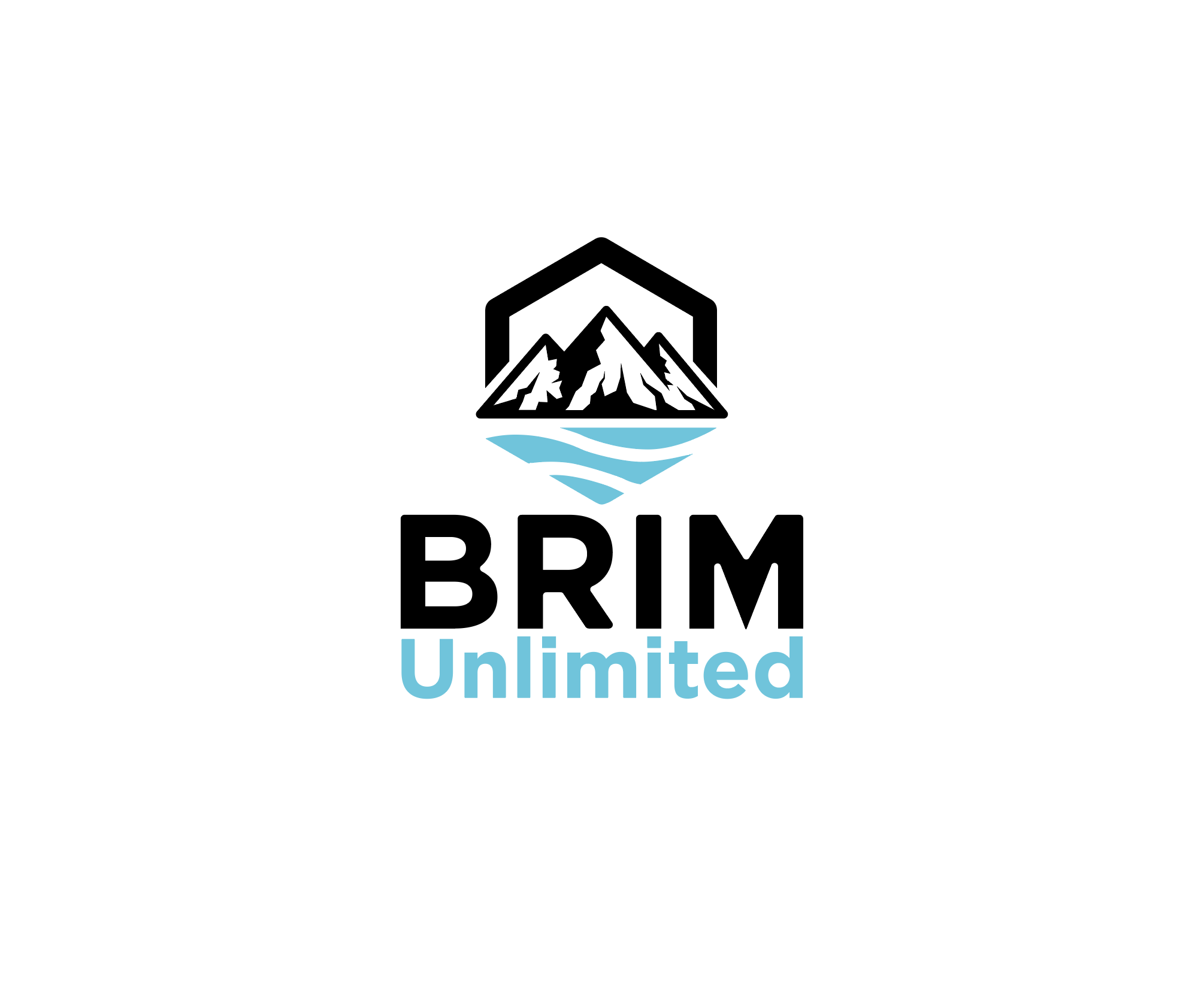 Design de Logo par BabyGeniusJoe pour Brim Unlimited | Design #33846122