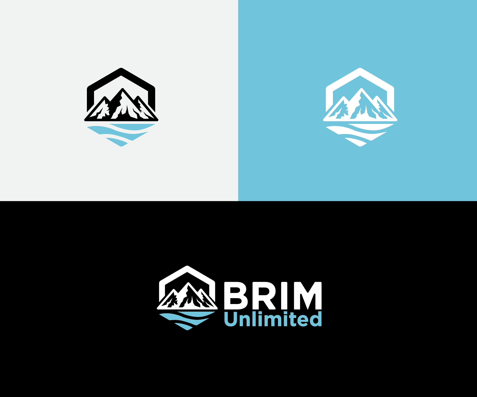 Design de Logo par BabyGeniusJoe pour Brim Unlimited | Design #33846123