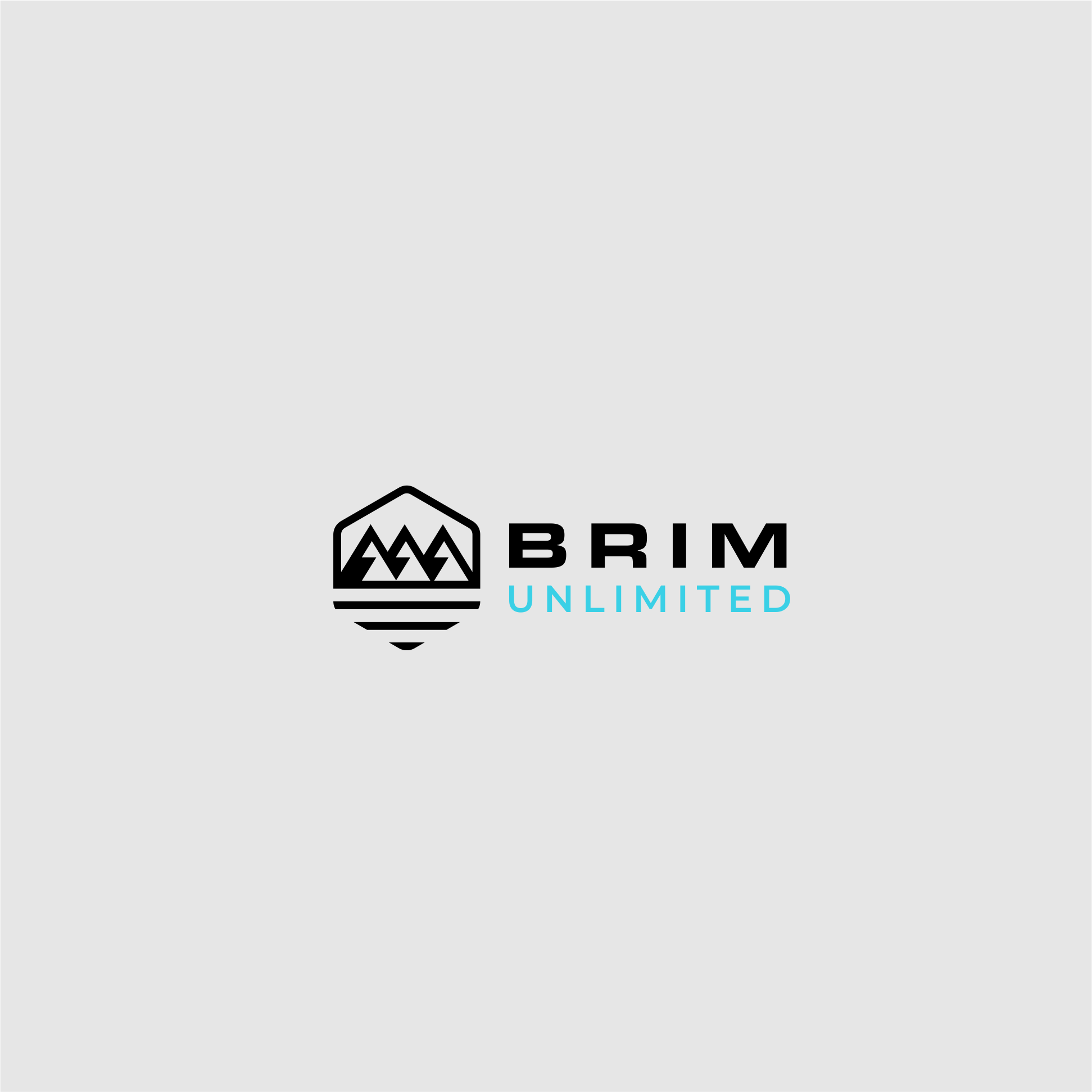 Diseño de Logo por Schematic Studio para Brim Unlimited | Diseño #33820531