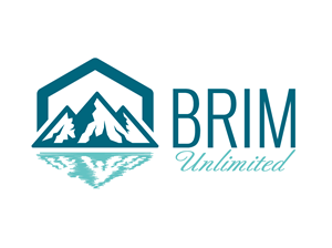 Design de Logo par dhamkith pour Brim Unlimited | Design : #33809650