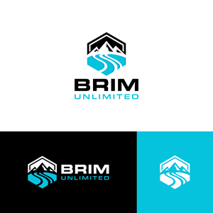 Logo Design by The Lion Studios for Brim Unlimited | Design: #33810347