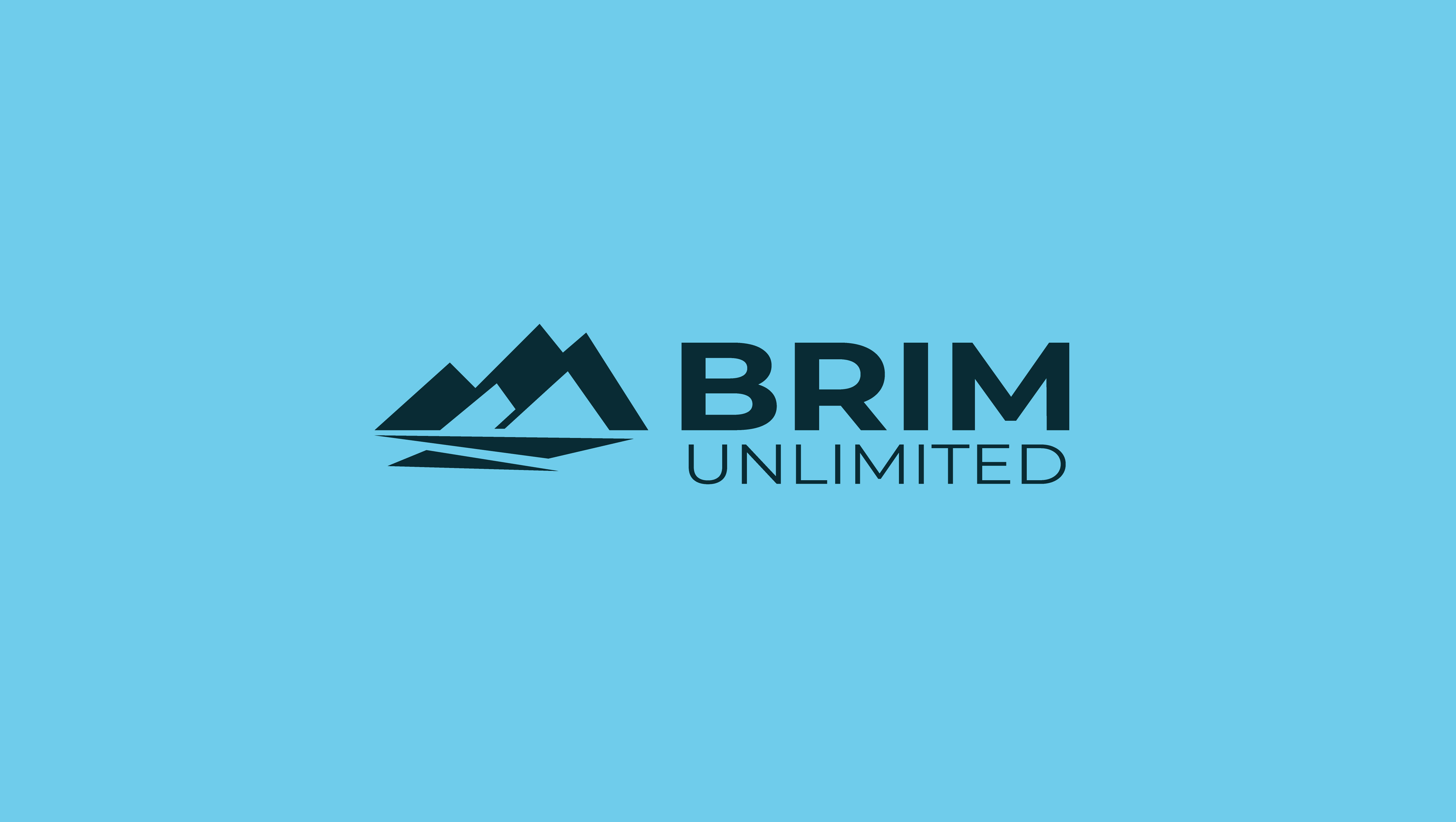 Logo Design by zeykan for Brim Unlimited | Design #33843186