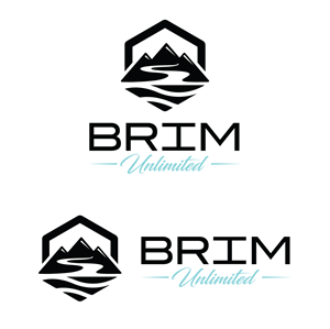 Logo Design by Atec for Brim Unlimited | Design: #33814726