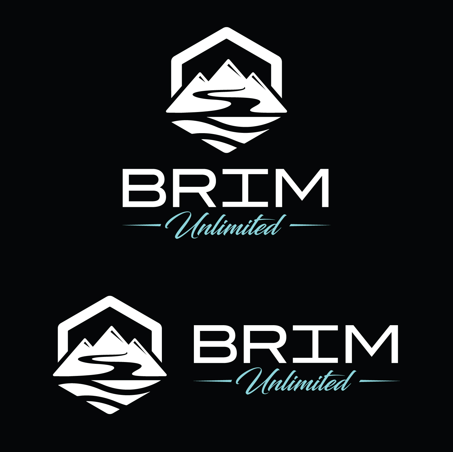 Logo Design by Atec for Brim Unlimited | Design #33814727