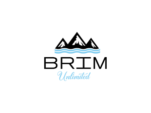 Logo Design by Owltive for Brim Unlimited | Design: #33809407