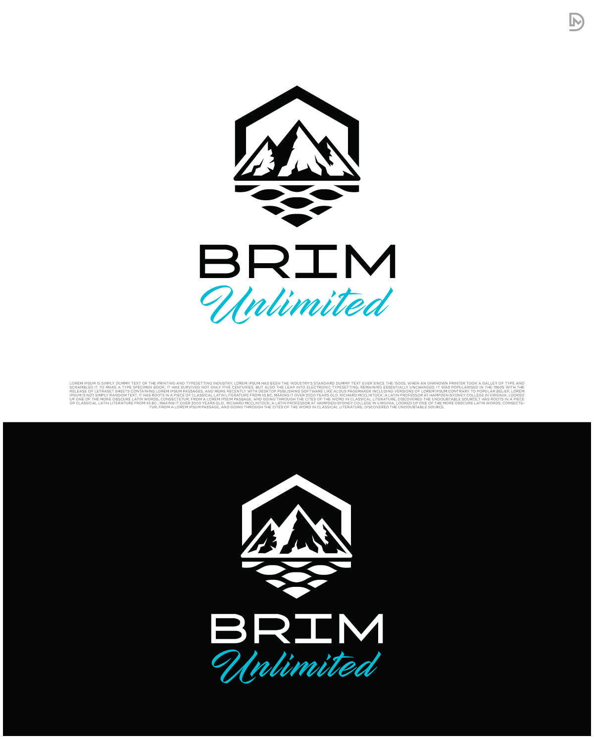 Logo Design by D_Mantra for Brim Unlimited | Design #33809946