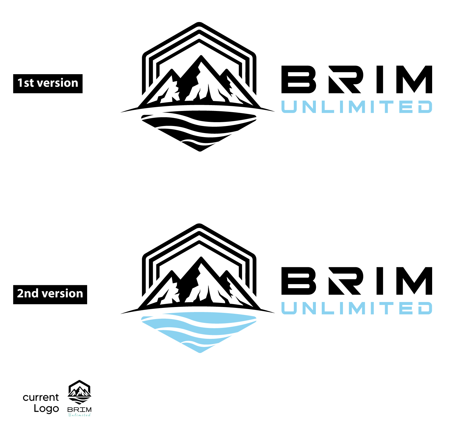Logo Design by Rubia@ for Brim Unlimited | Design #33844088