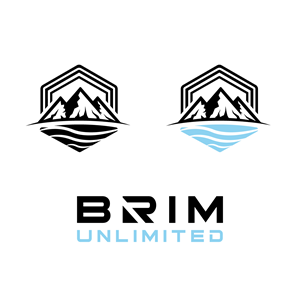 Logo Design by Rubia@ for Brim Unlimited | Design: #33923270