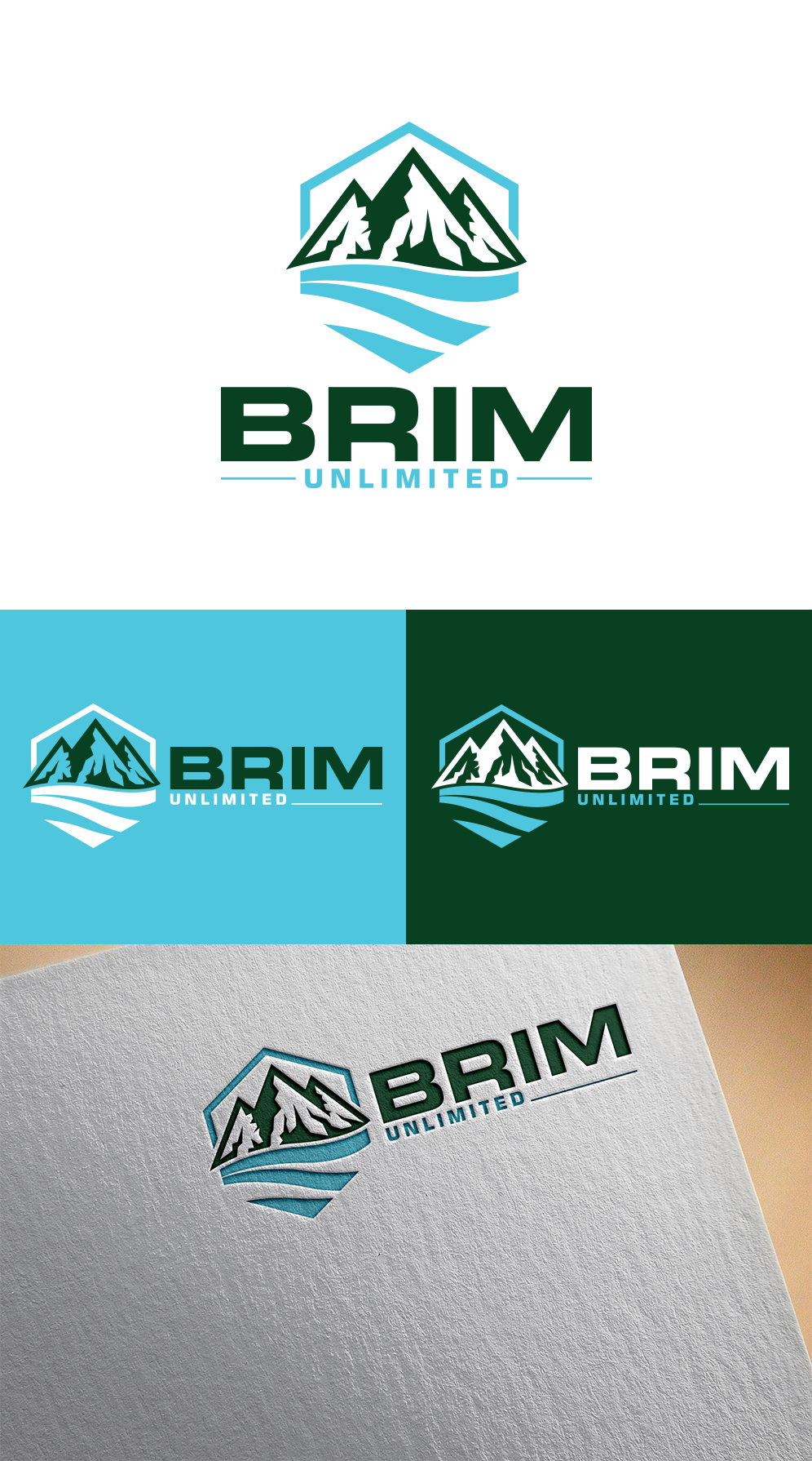Logo Design by Imran_me for Brim Unlimited | Design #33809852