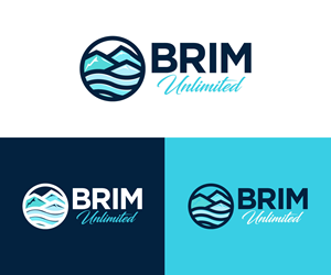 Logo Design by Ansh Design for Brim Unlimited | Design: #33815006