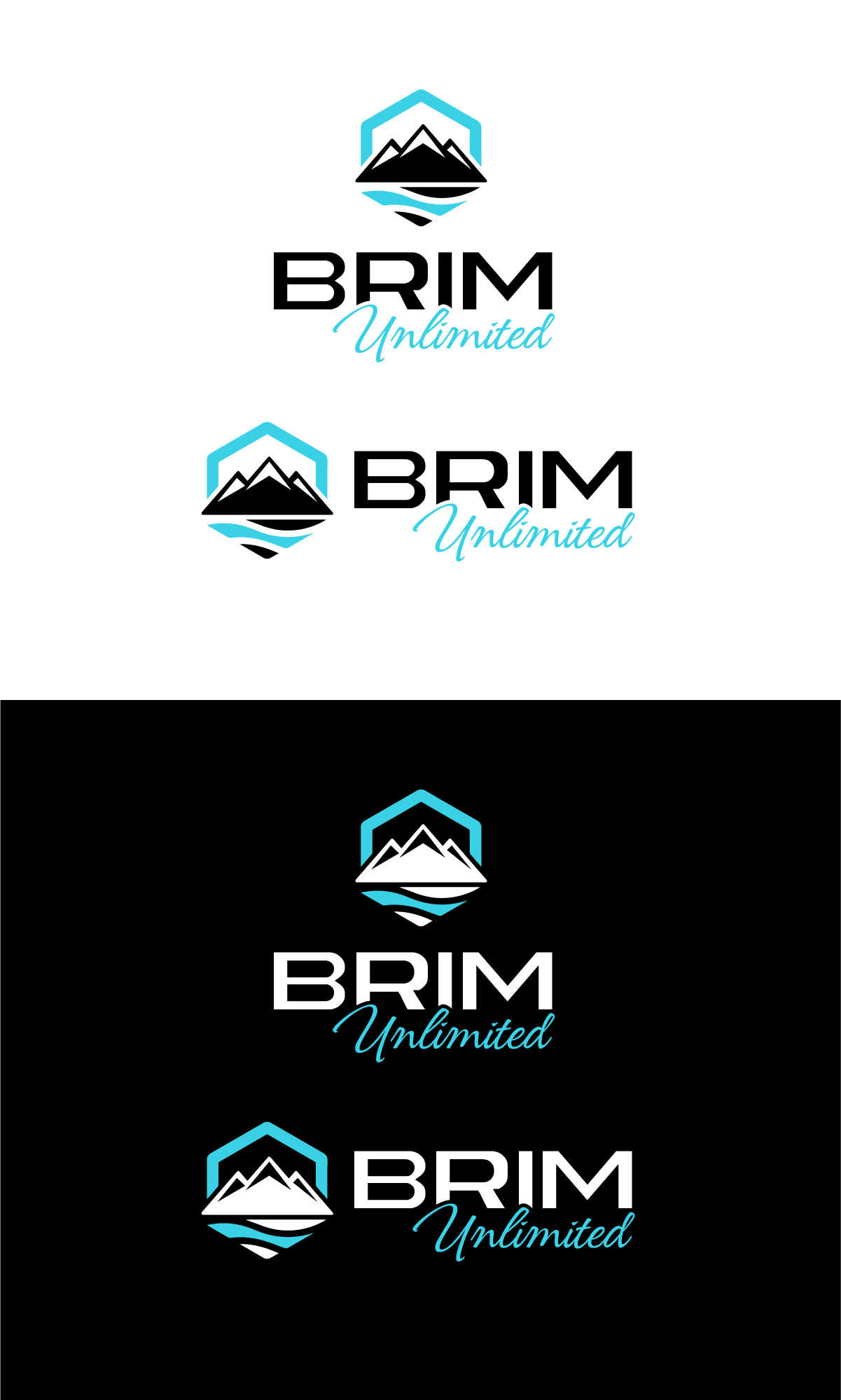 Design de Logo par Ayub Zafar pour Brim Unlimited | Design #33814562