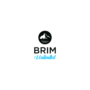 Logo-Design von perang für Brim Unlimited | Design: #33817153