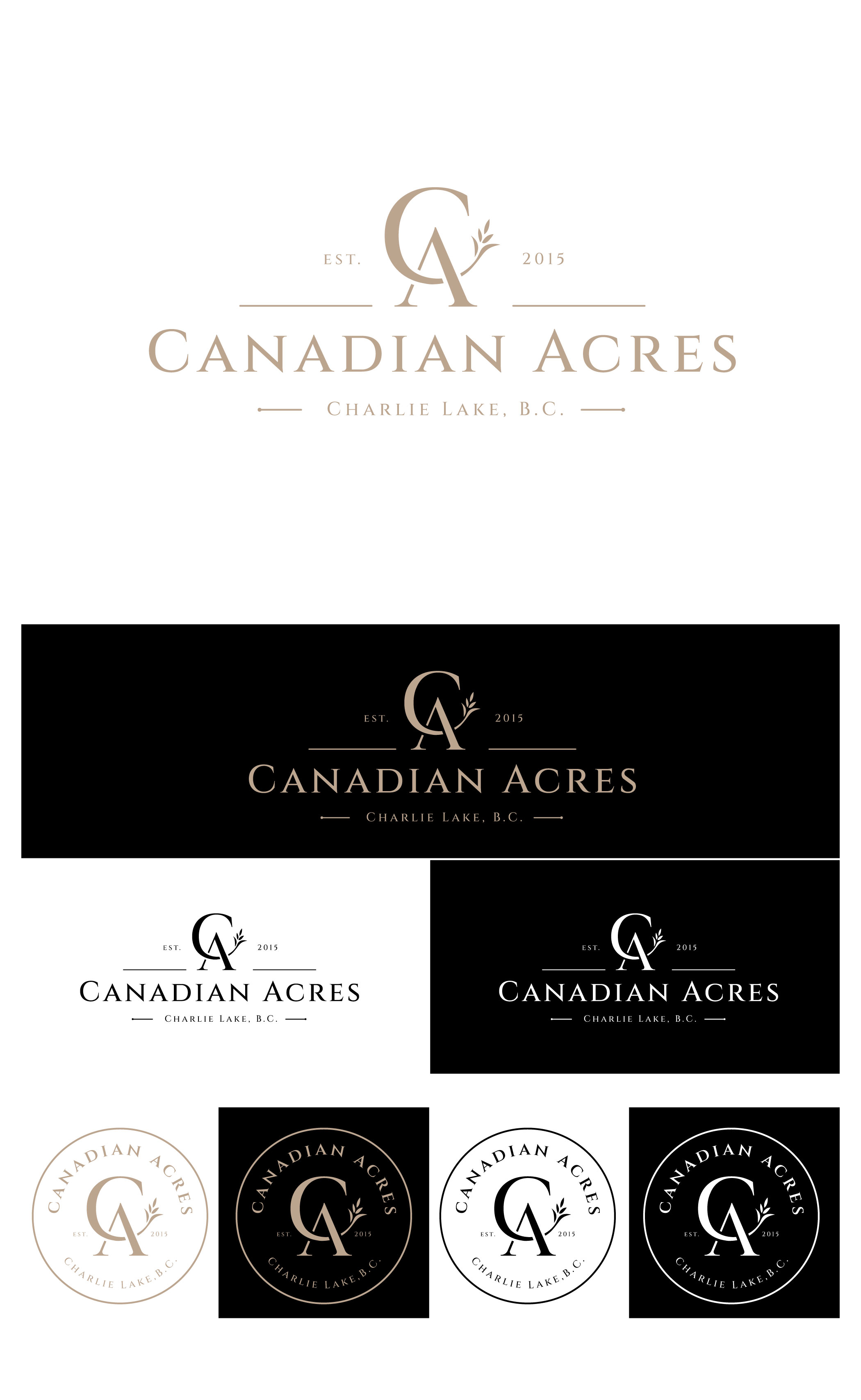 Logo Design by Idea Master Plus for this project | Design #33848326