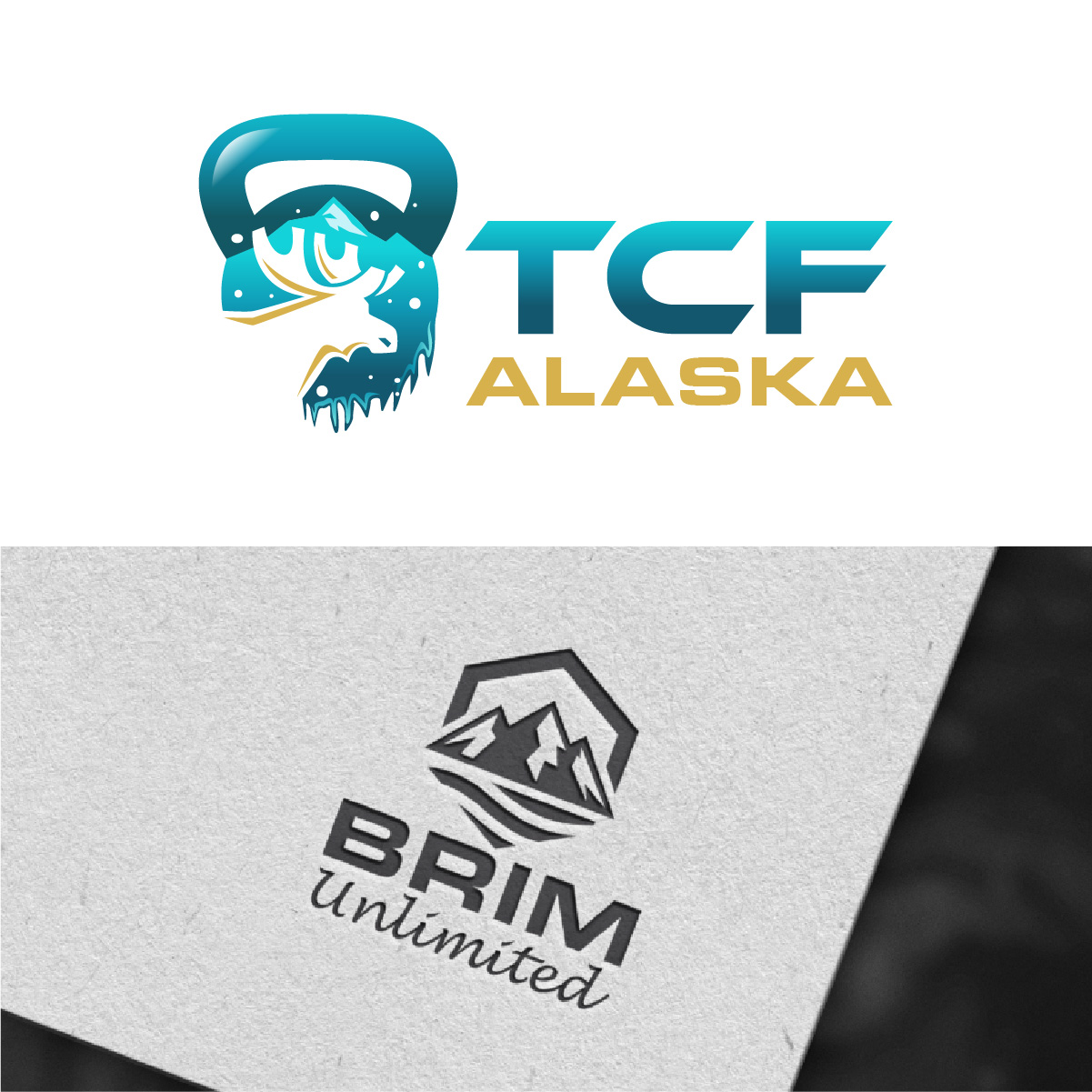 Logo Design by Loknath for Turnagain CrossFit Alaska | Design #33815830