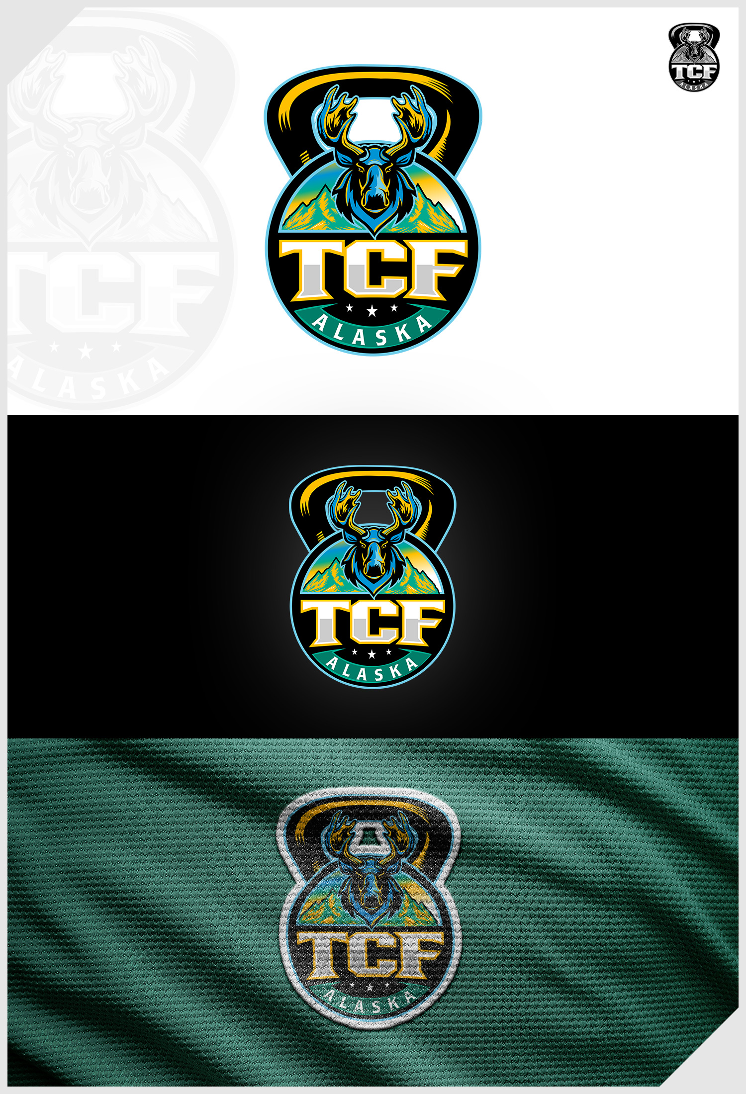 Logo Design by IDesign1606 for Turnagain CrossFit Alaska | Design #33816266