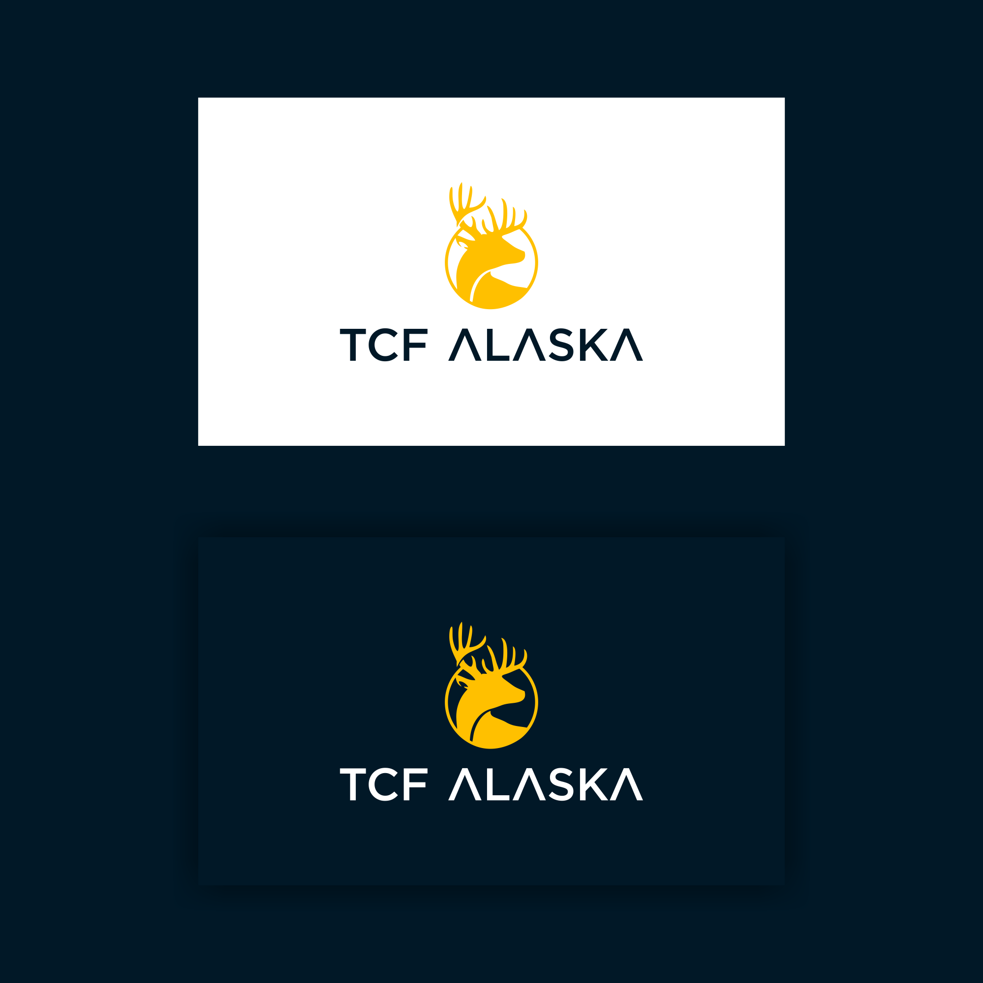 Logo Design by B.O_studio for Turnagain CrossFit Alaska | Design #33848662