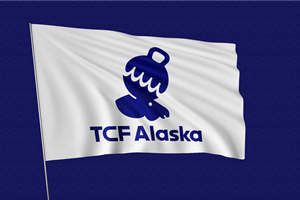 Logo Design by Abdul 20 for Turnagain CrossFit Alaska | Design: #33819648