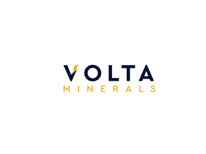 Logo Design by 4lv for this project | Design #33853652