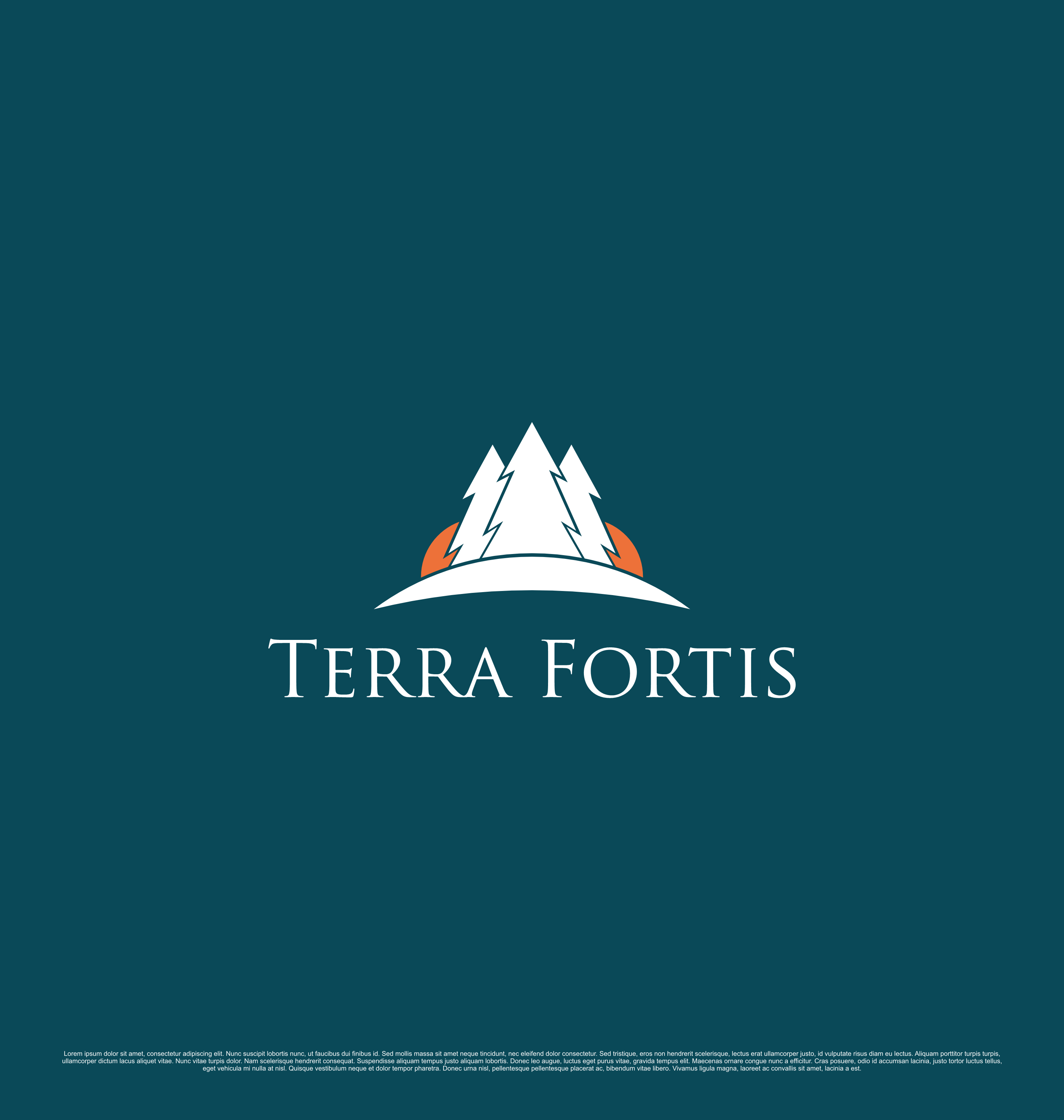 Diseño de Logo por saesean para este proyecto | Diseño #33823305