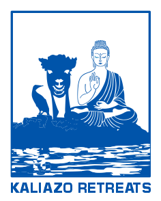 Logo Design by greenadcell for synnput GmbH | Design #33841416