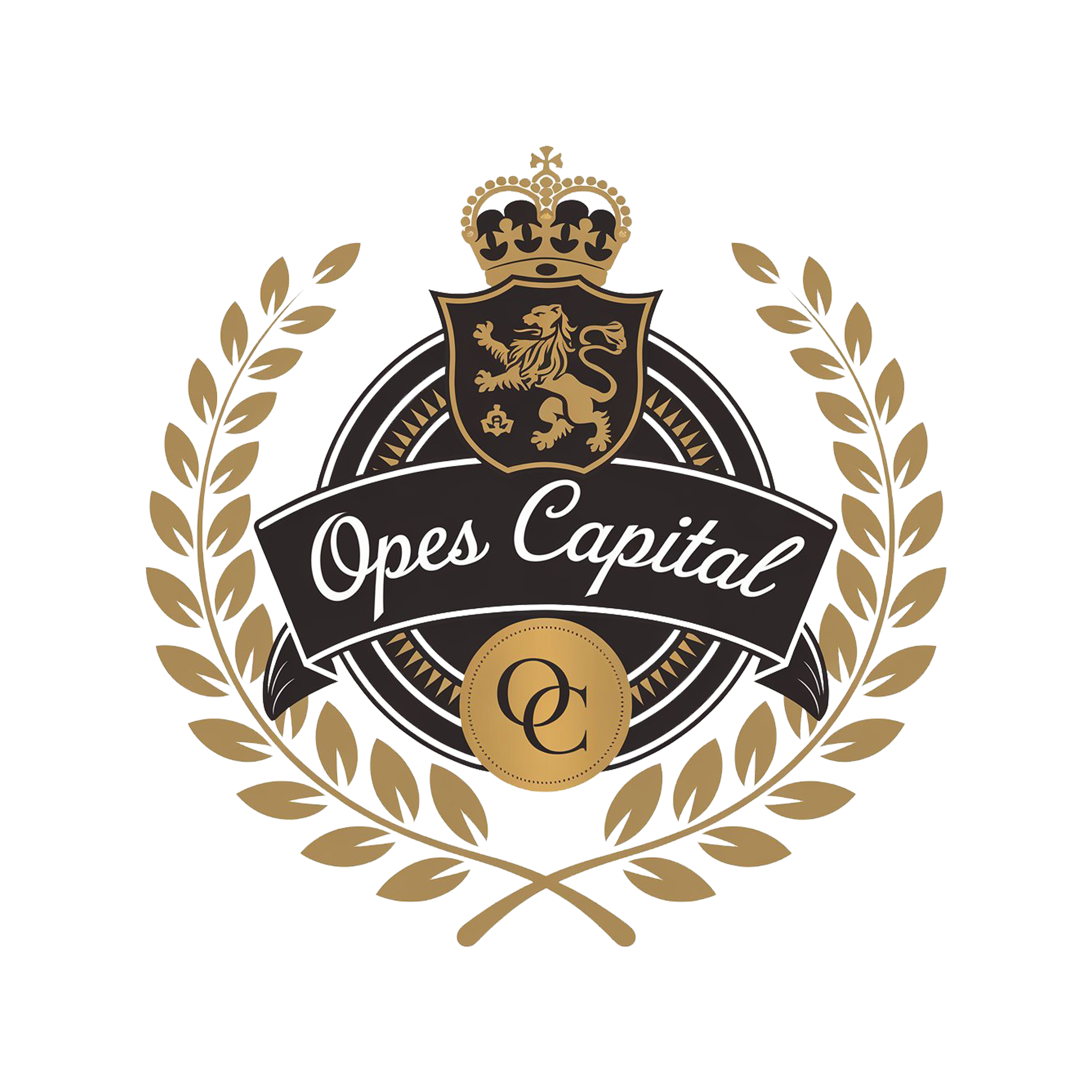 Design de Logo par SayantanFX pour ce projet | Design #33834019