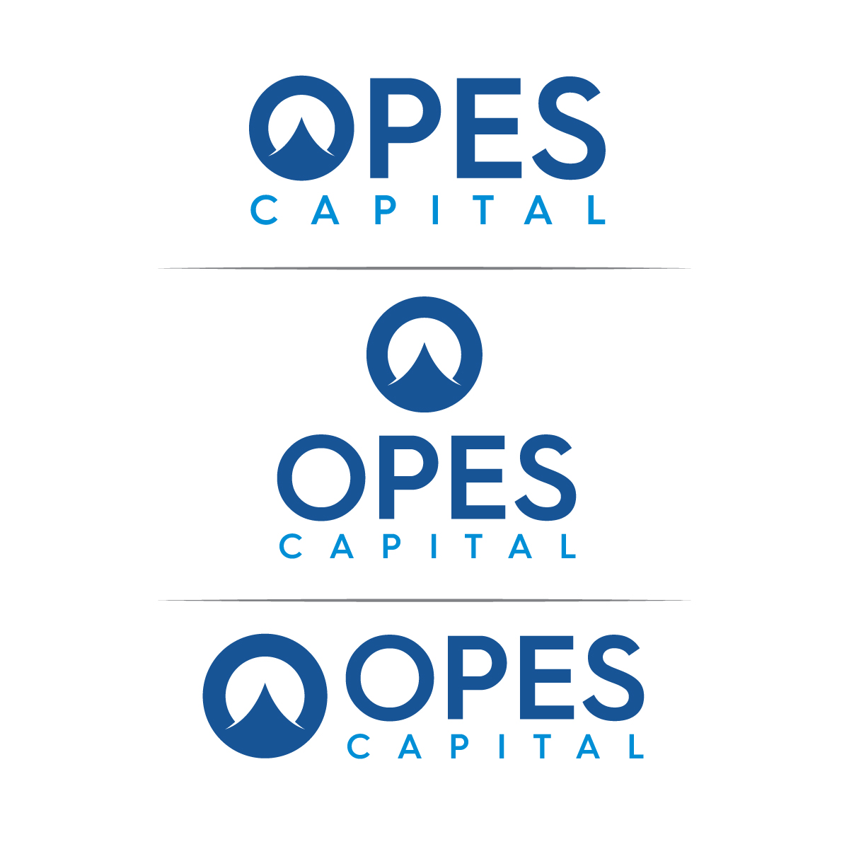 Diseño de Logo por Elrich para este proyecto | Diseño #33826651