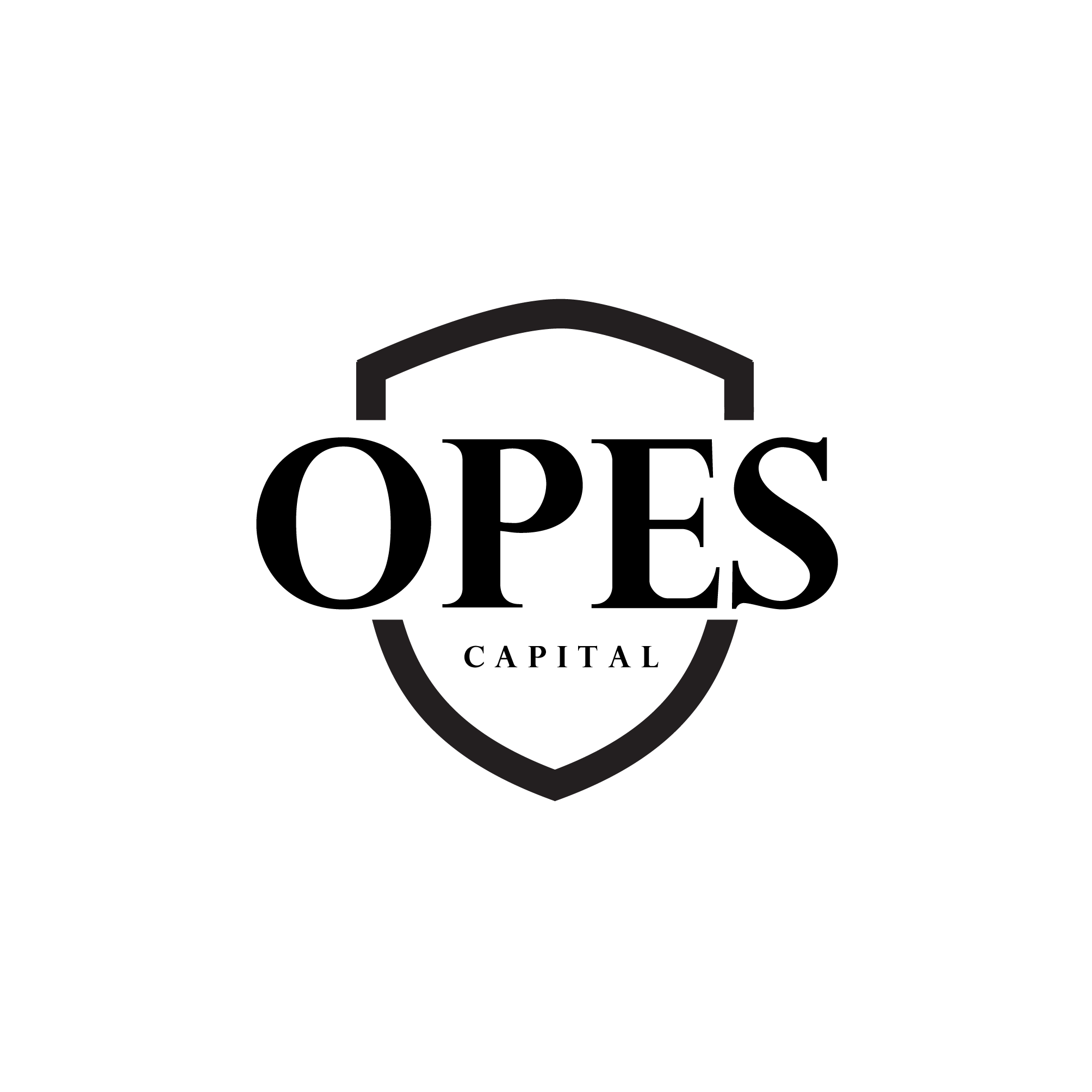 Design de Logo par herilyess pour ce projet | Design #33826874